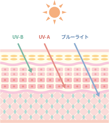 Dr.Mseriesの日焼け止め Sun Screen Milk（サンスクリーンミルク